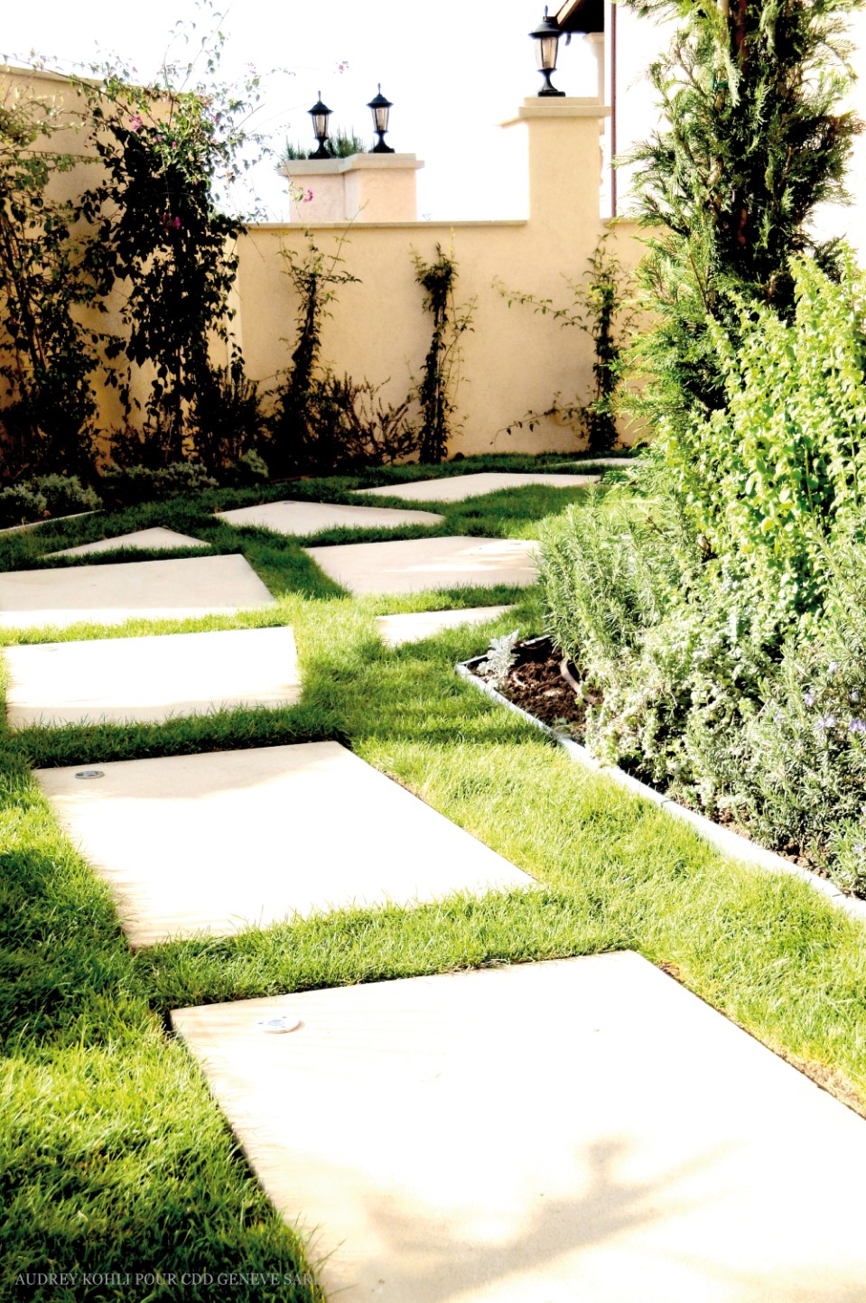 AEK Architecture - Audrey Kohli